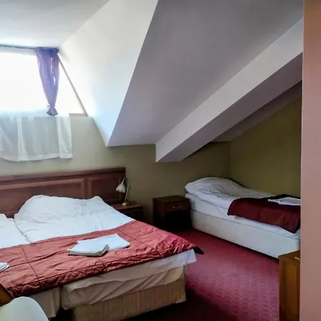 Hotel Sofia بانسكو
